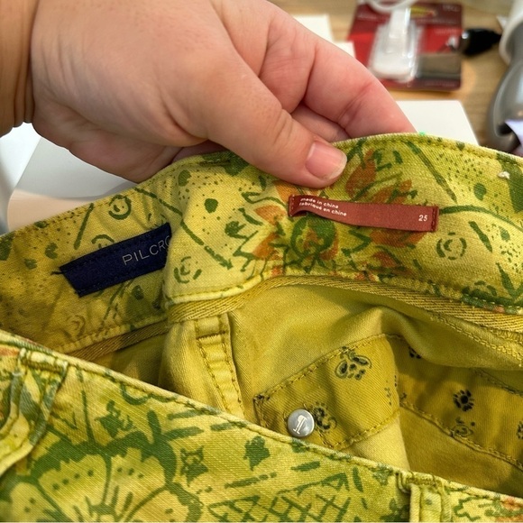 Pilcro The Wanderer Low-Rise Pants in Light Green Patterned Straight Leg Size 25 - Picture 7 of 8